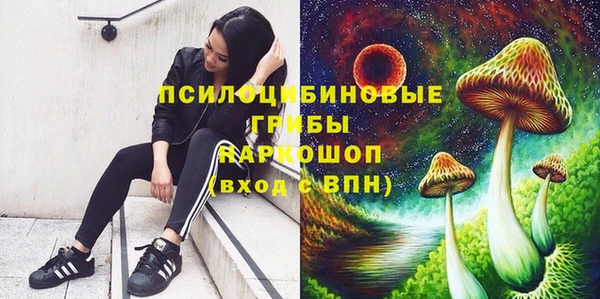 гидропоника Армянск