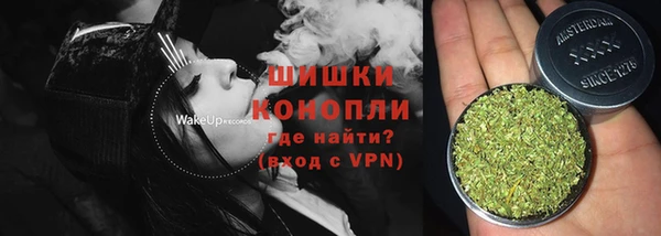 ешки Аркадак