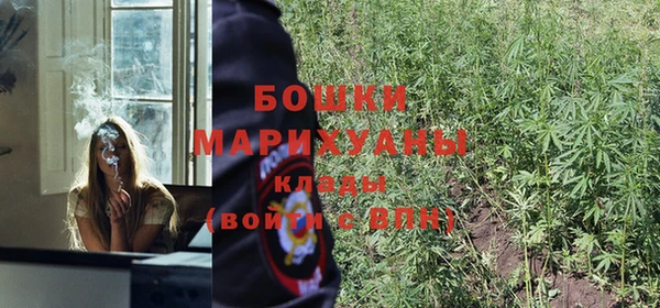 ешки Аркадак