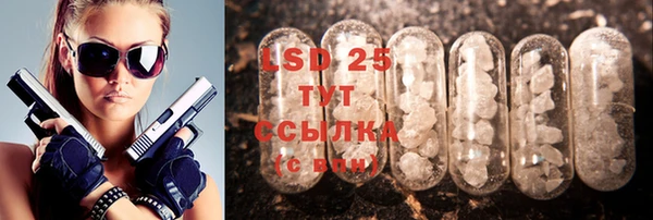 ешки Аркадак