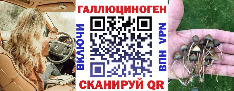 маркетплейс наркотические препараты Баймак Галлюциногенные грибы ЛСД